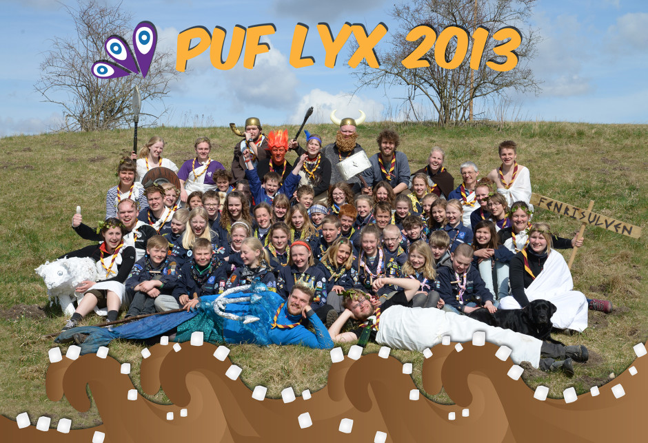 PUF 2013
